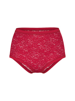 No-Show Lace High-Waist Brief Panty