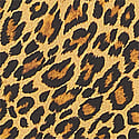 SAFARI GOLD LEOPARD 
