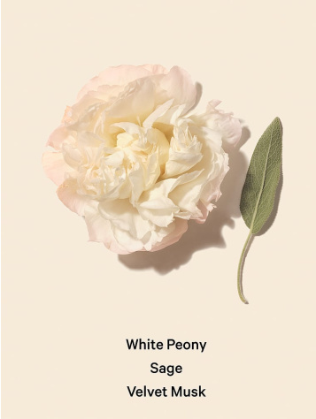 Travel Fine Fragrance Mist