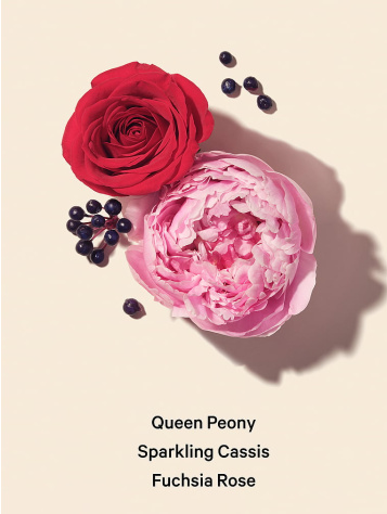 Travel Fine Fragrance Mist